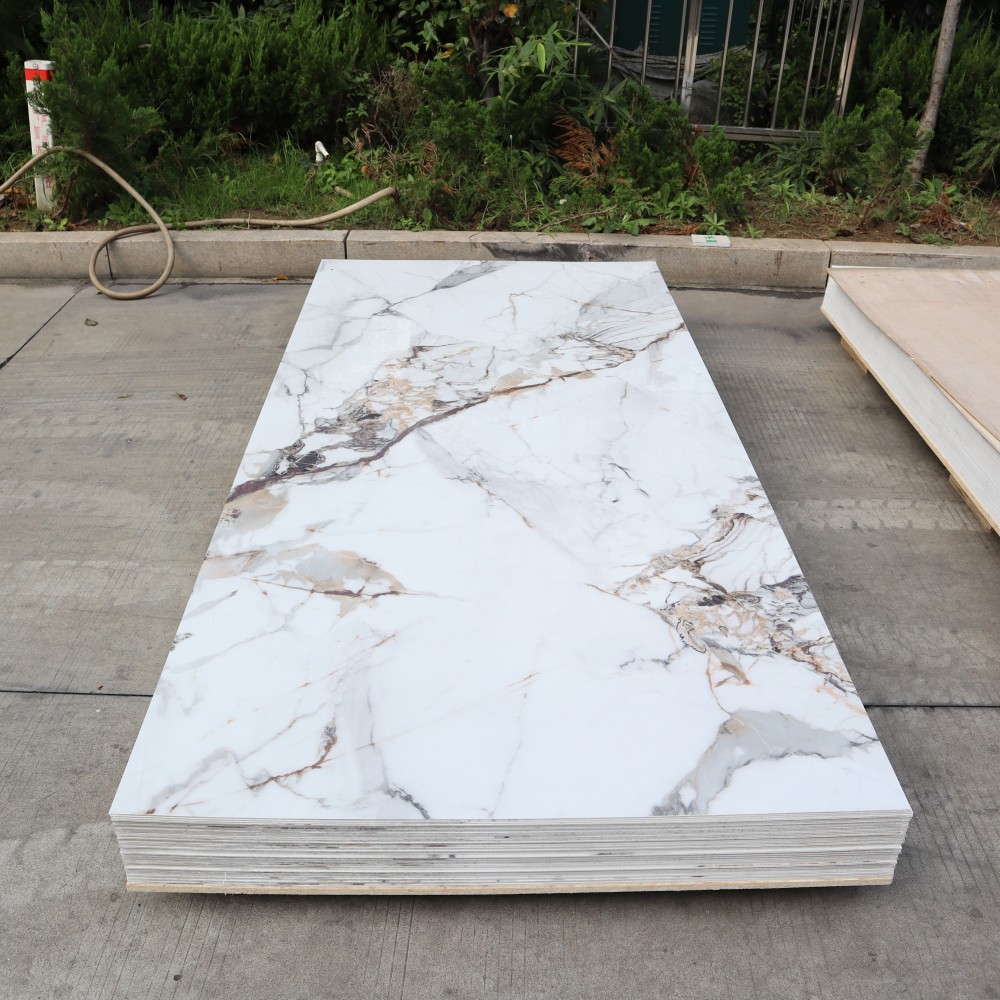 Customizable Modern PVC Decorative Wall Panels: Design on Your Terms(图1) Customizable Modern PVC Decorative Wall Panels: Design on Your Terms(图1)